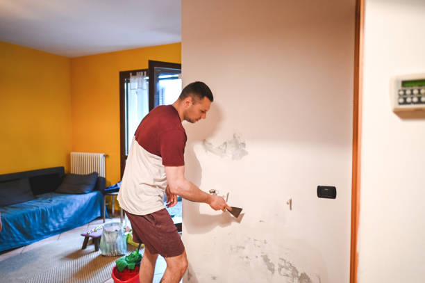 Best Crawl Space Mold Removal  in Yoe, PA